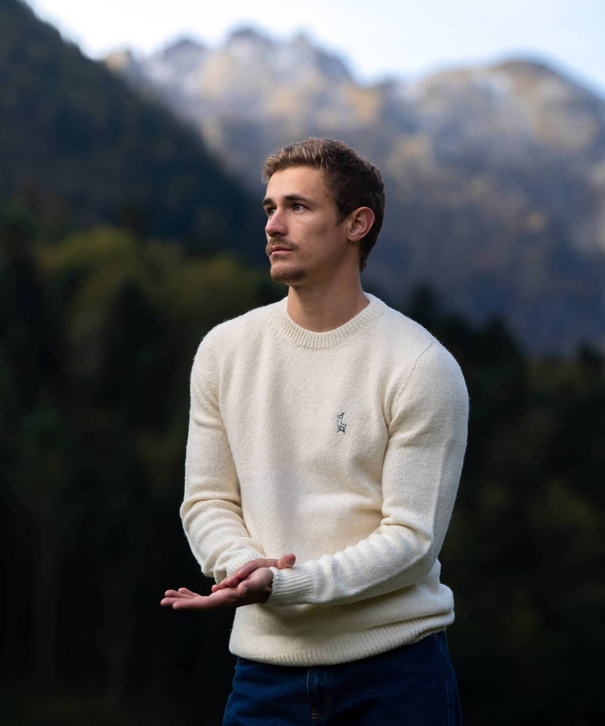 Pull homme col rond, blanc écru, laine des Pyrénées, made in France, Maison Izard